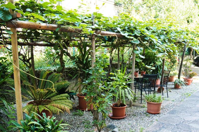 Cafe Rudi Living Bed & Breakfast Parcines Dış mekan fotoğraf