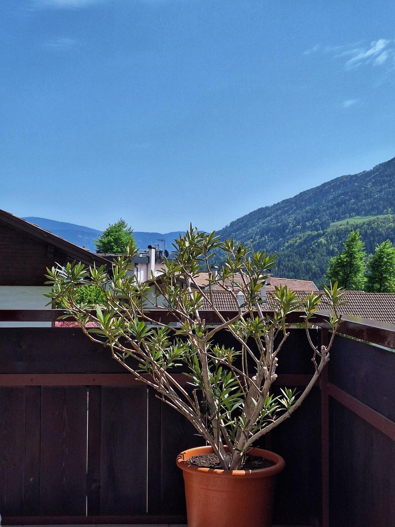Cafe Rudi Living Bed & Breakfast Parcines Dış mekan fotoğraf